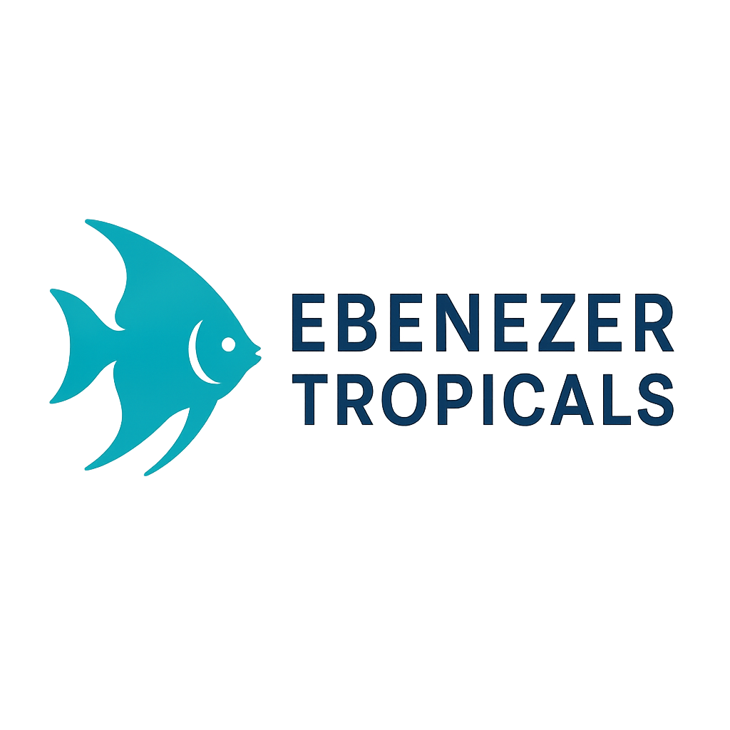 ebenezertropicals.com